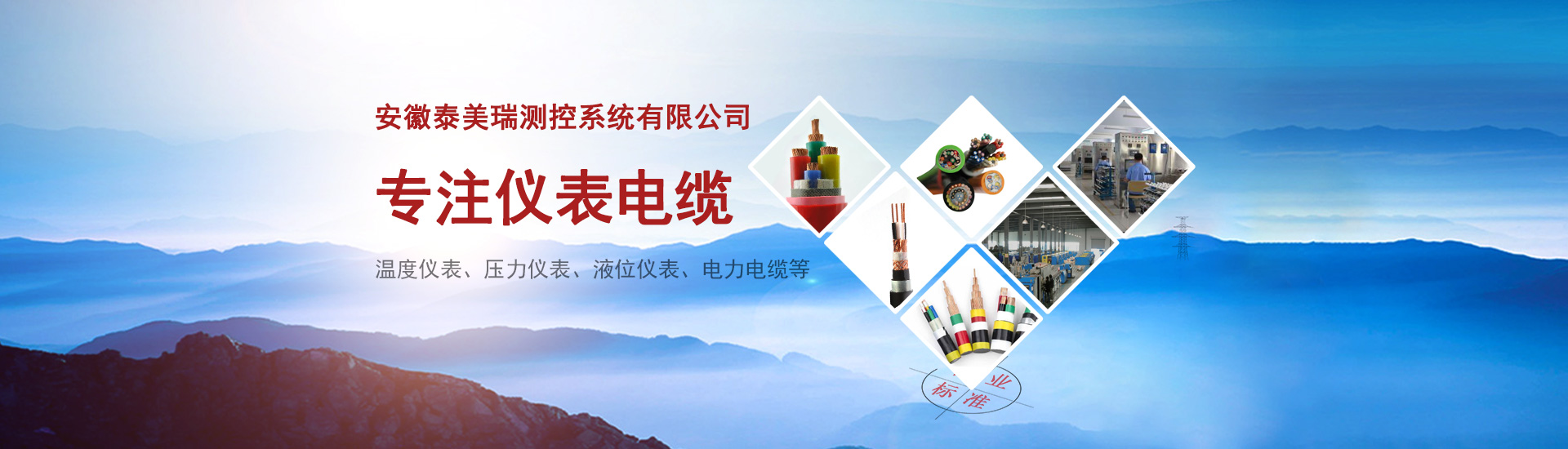泰美瑞測控
